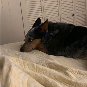 Meet your Posher, Leslie